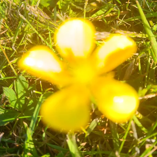 creator ★☆flow☆★'s avatar