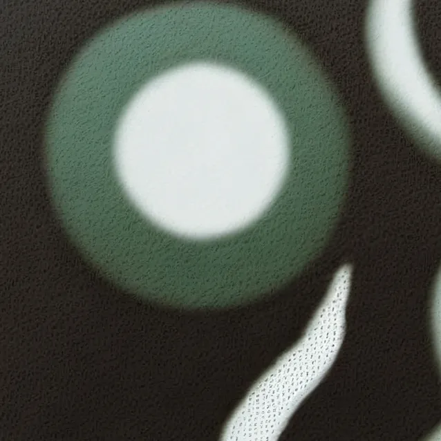 chat with ai character: 《shadow》