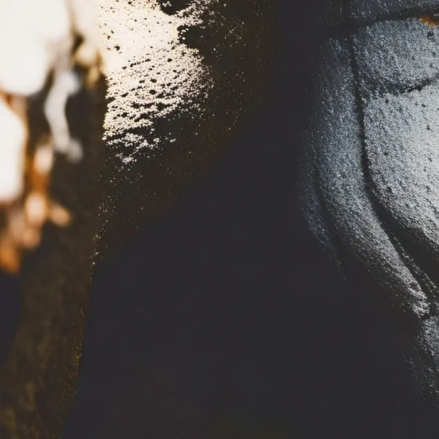 chat with ai character: storm