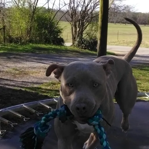 creator ⭐alexis⭐'s avatar