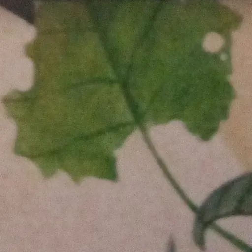 creator Rеa's avatar