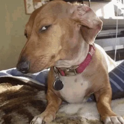 creator GigaMar43's avatar