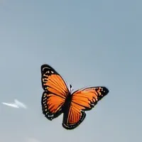 chat with ai character: player 120