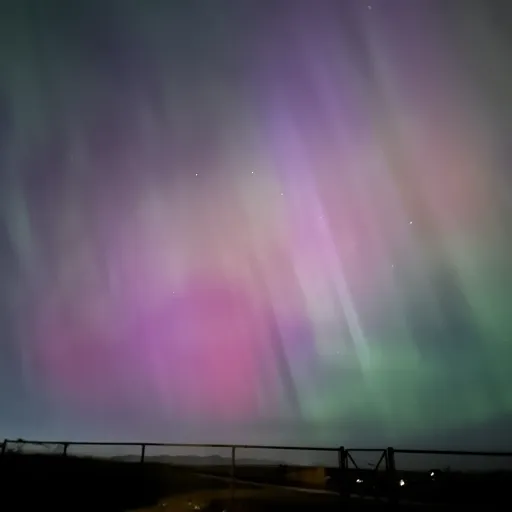 creator Luna Moondrifter's avatar