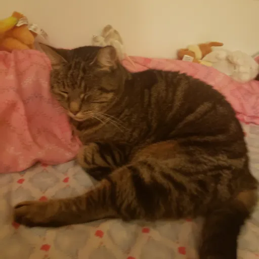 creator LucyIzWatchingYou's avatar