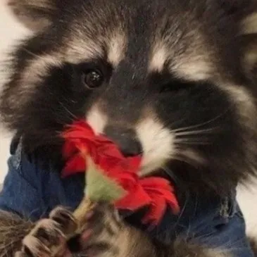 creator Shush.'s avatar