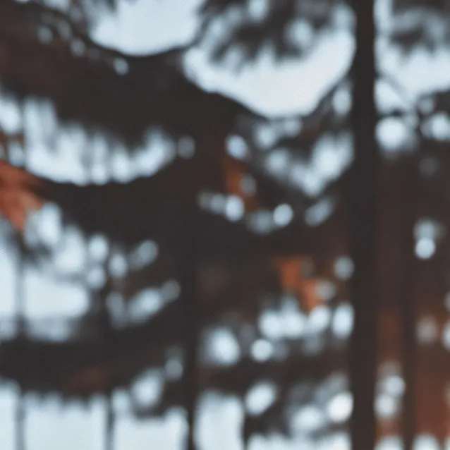 chat with ai character: grass