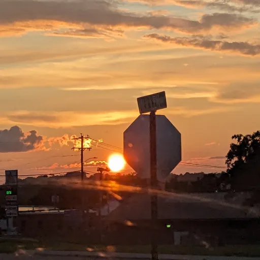 creator SUNSET.BLVD's avatar