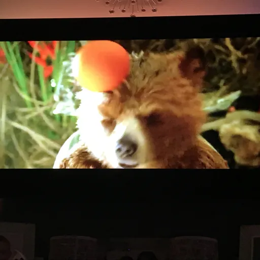 talkie's author avatar