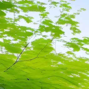 chat with ai character: (Pred) Fnf Bf