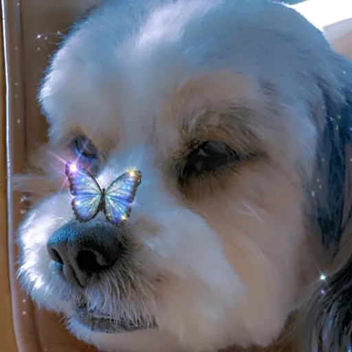 creator Pookie_dookie_bear's avatar