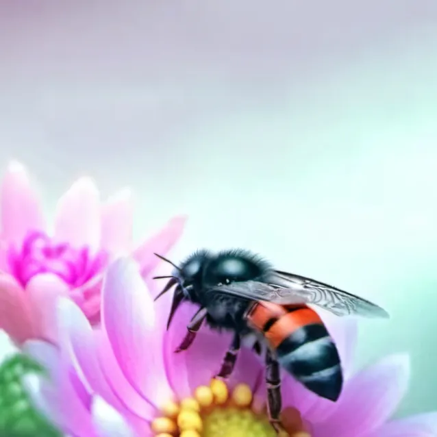 chat with ai character: BIBBLE