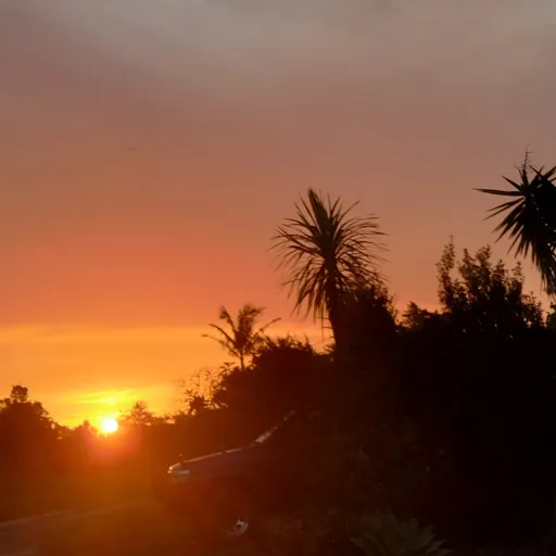 creator +°.Iris.°+'s avatar