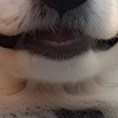 chat with ai character: Sam