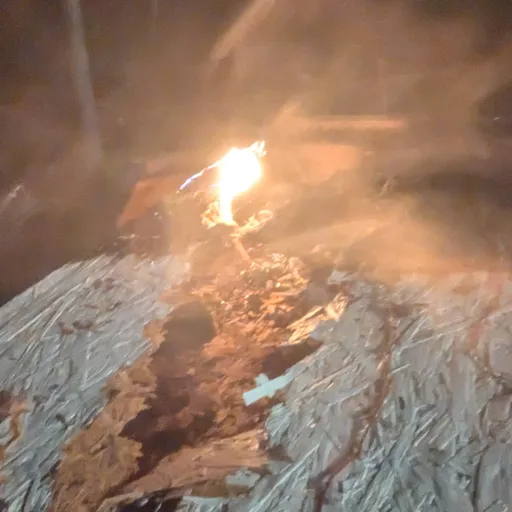 creator the_roleplayer_700's avatar