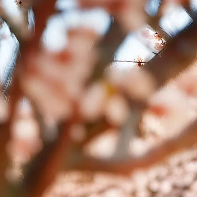 chat with ai character: xavier