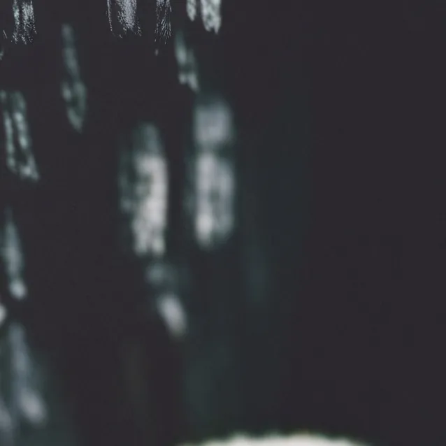 chat with ai character: Kumo