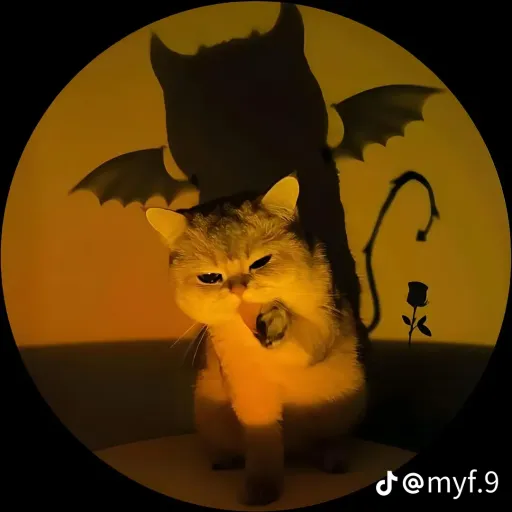 creator m_o_n_e_y moon's avatar