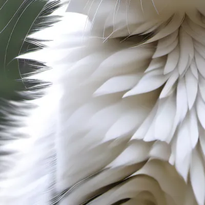 chat with ai character: Cat family