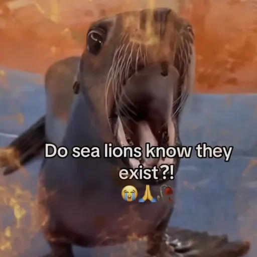 creator BAHHHHHHHH's avatar