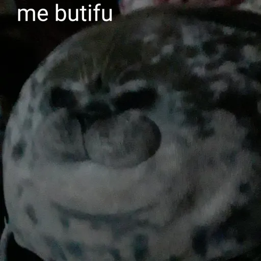 creator du.seal.guy's avatar