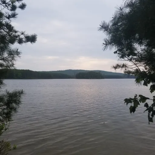 creator Knight Of Hope's avatar