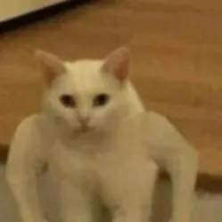 chat with ai character: poppy playtime 5