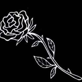 creator 💜no mask🖤's avatar