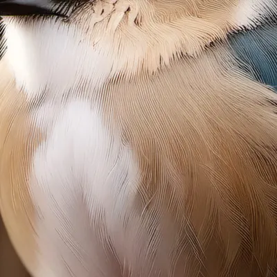 chat with ai character: (Bird name)