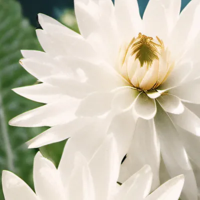 chat with ai character: Hackers type this