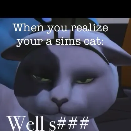 creator AlastorNo1Simp's avatar