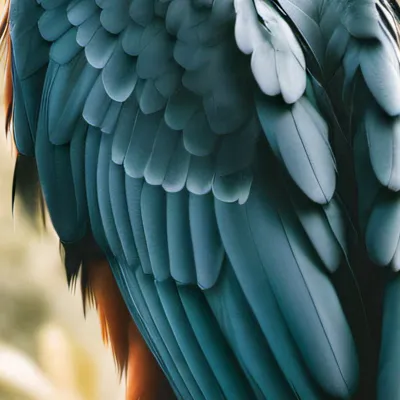 chat with ai character: talking parrot