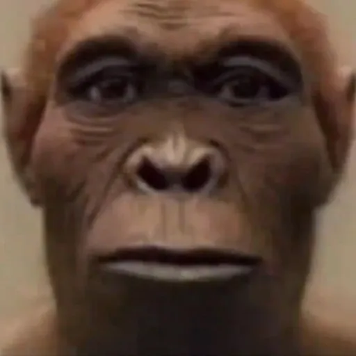 creator RerereMcNuggs's avatar