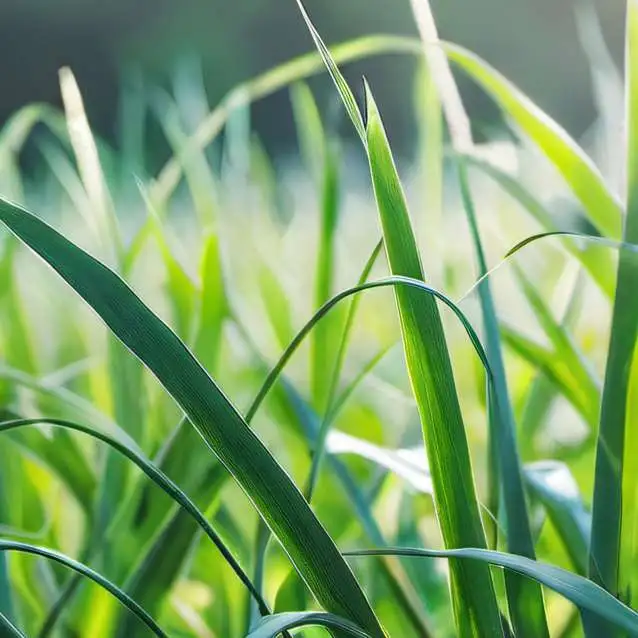 chat with ai character: Grass