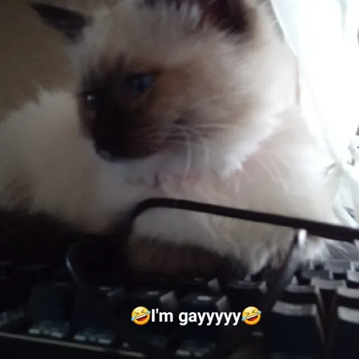 creator Temu has pickles's avatar