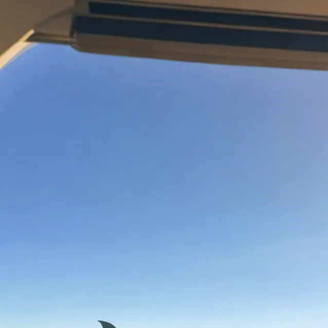 chat with ai character: Flight