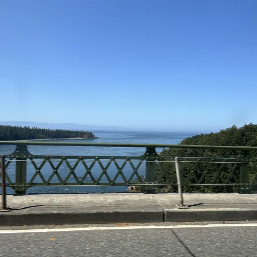 creator Little Beans777's avatar