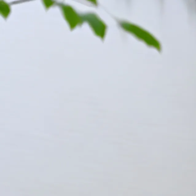 chat with ai character: Maron