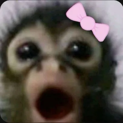 creator 🙈Pαυʅιɳα🙈's avatar