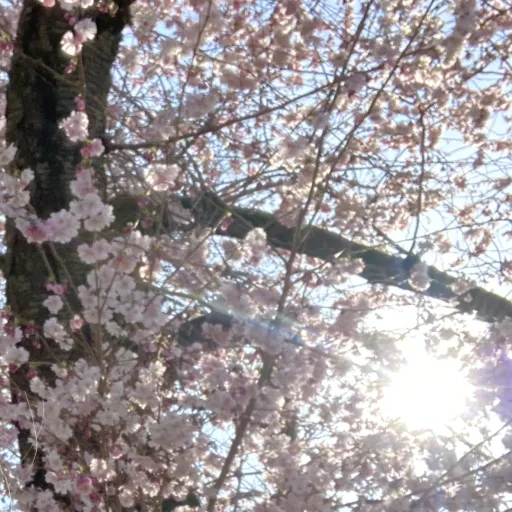 creator •~Sage Akira~•'s avatar