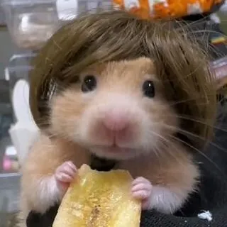 creator JellybeanToasies🌷🍧's avatar