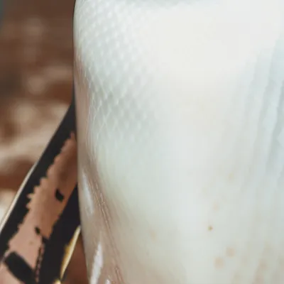 chat with ai character: Dave