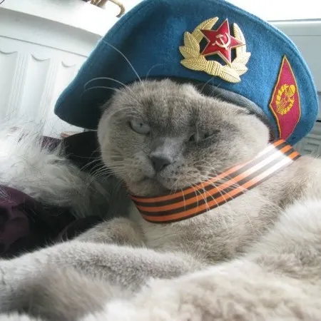 creator THEEXORSIST(alt)'s avatar