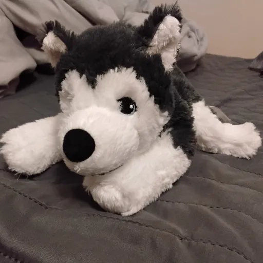 creator Crazy Doggie's avatar