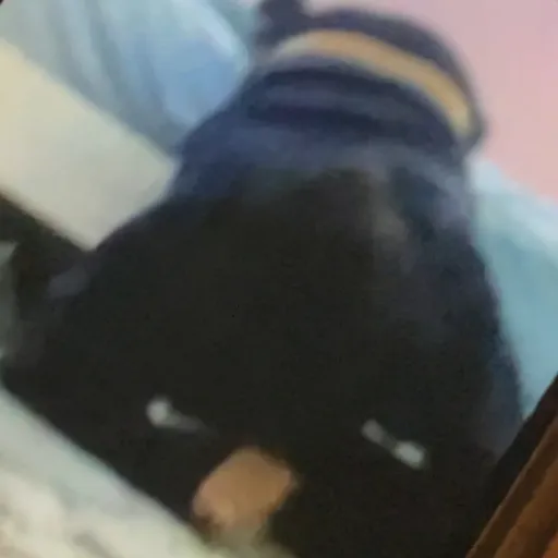 creator Collin the best's avatar