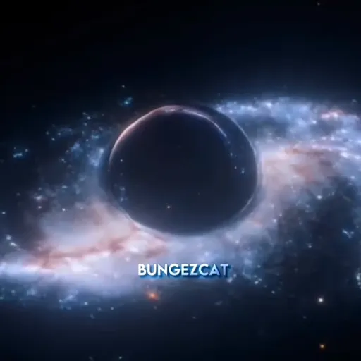 creator Rex the one's avatar