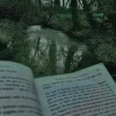 creator LILYYYYY!!•'s avatar