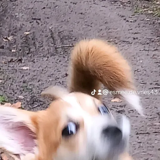 creator ☯︎lotte♥︎☯︎'s avatar