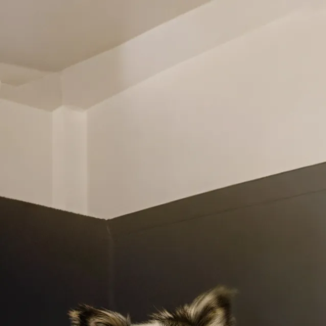 chat with ai character: blanket