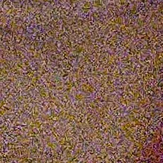 creator Emilyloveanimals🪷🌈's avatar